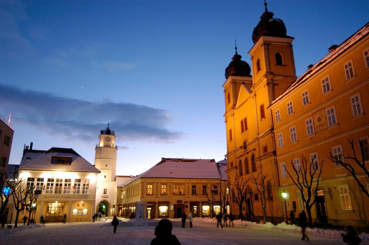 Parkhotel Na Baracke Nová Dubnica Exteriör bild